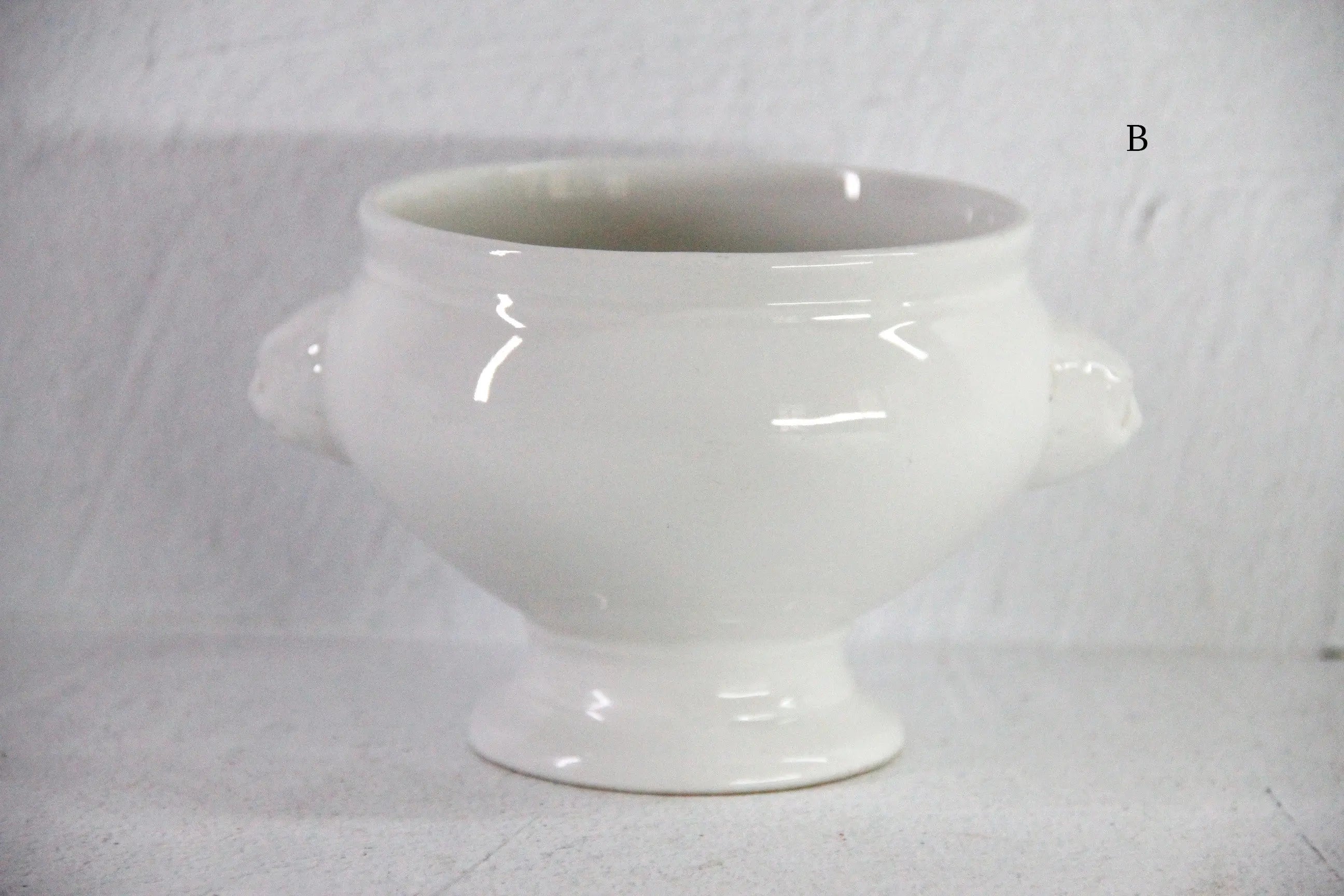 Vintage French Bowl | Lion Head Ironstone Assorted  Debra Hall Lifestyle