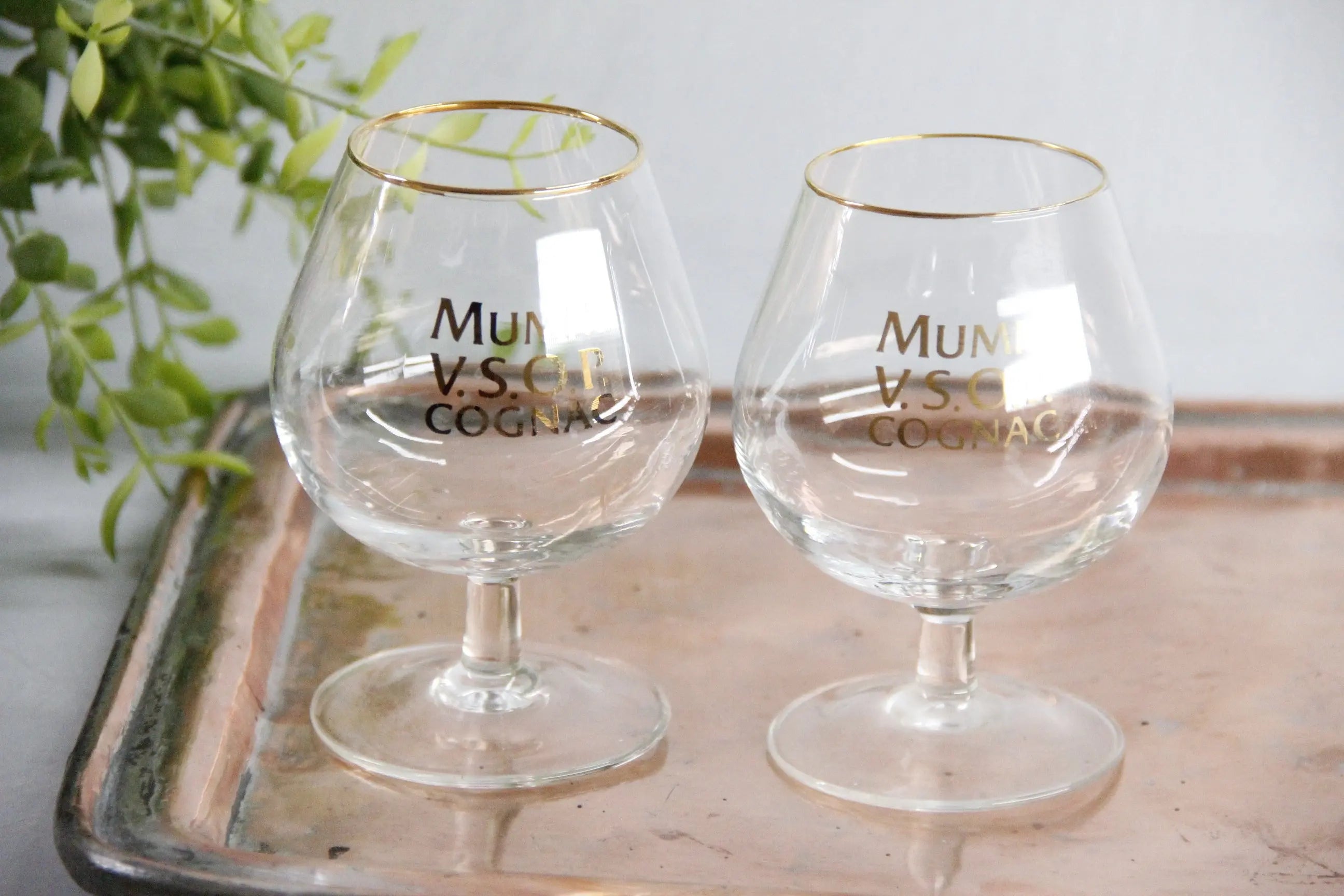 Vintage French Glassware Set | 2 Mumm Cognac Snifters  Debra Hall Lifestyle