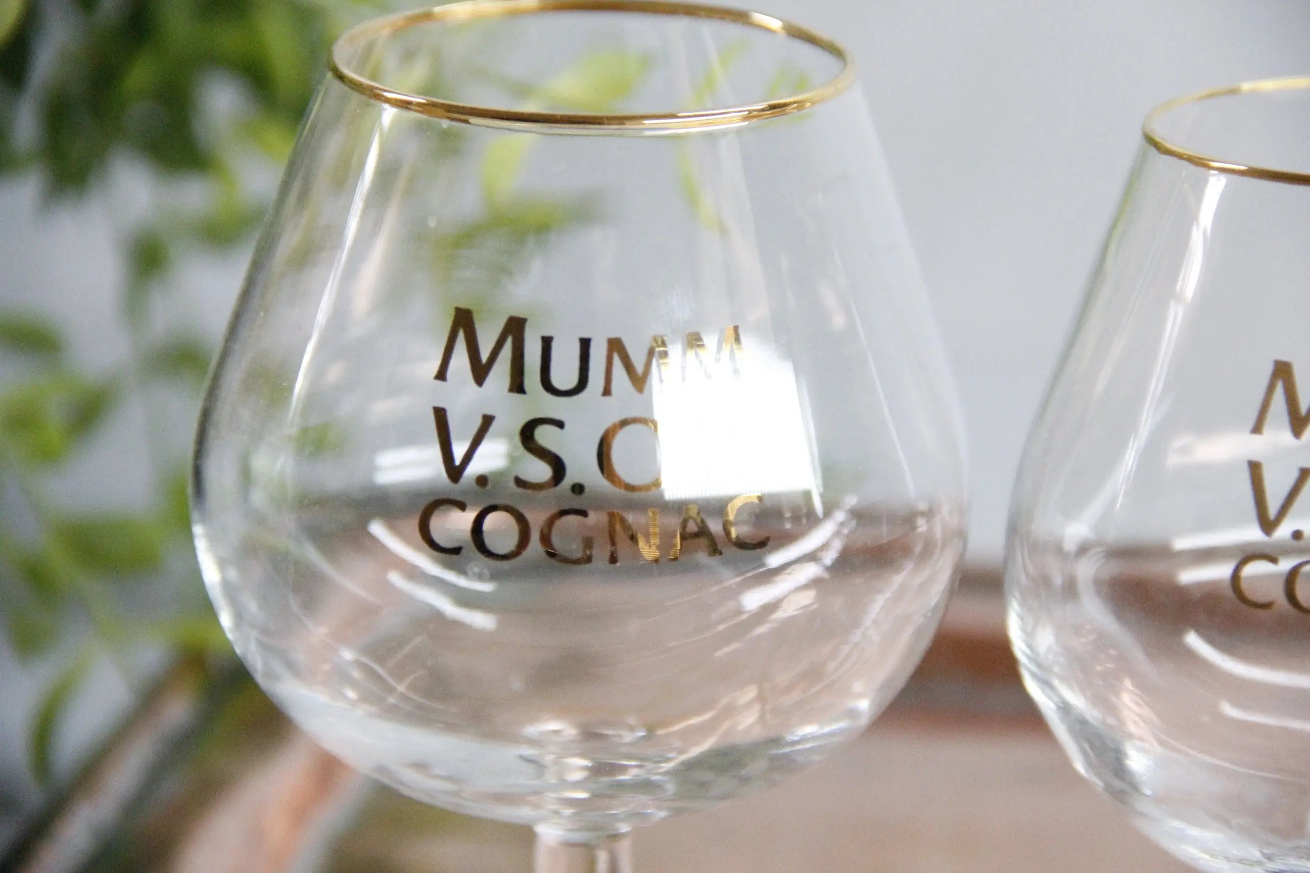 Vintage French Glassware Set | 2 Mumm Cognac Snifters  Debra Hall Lifestyle