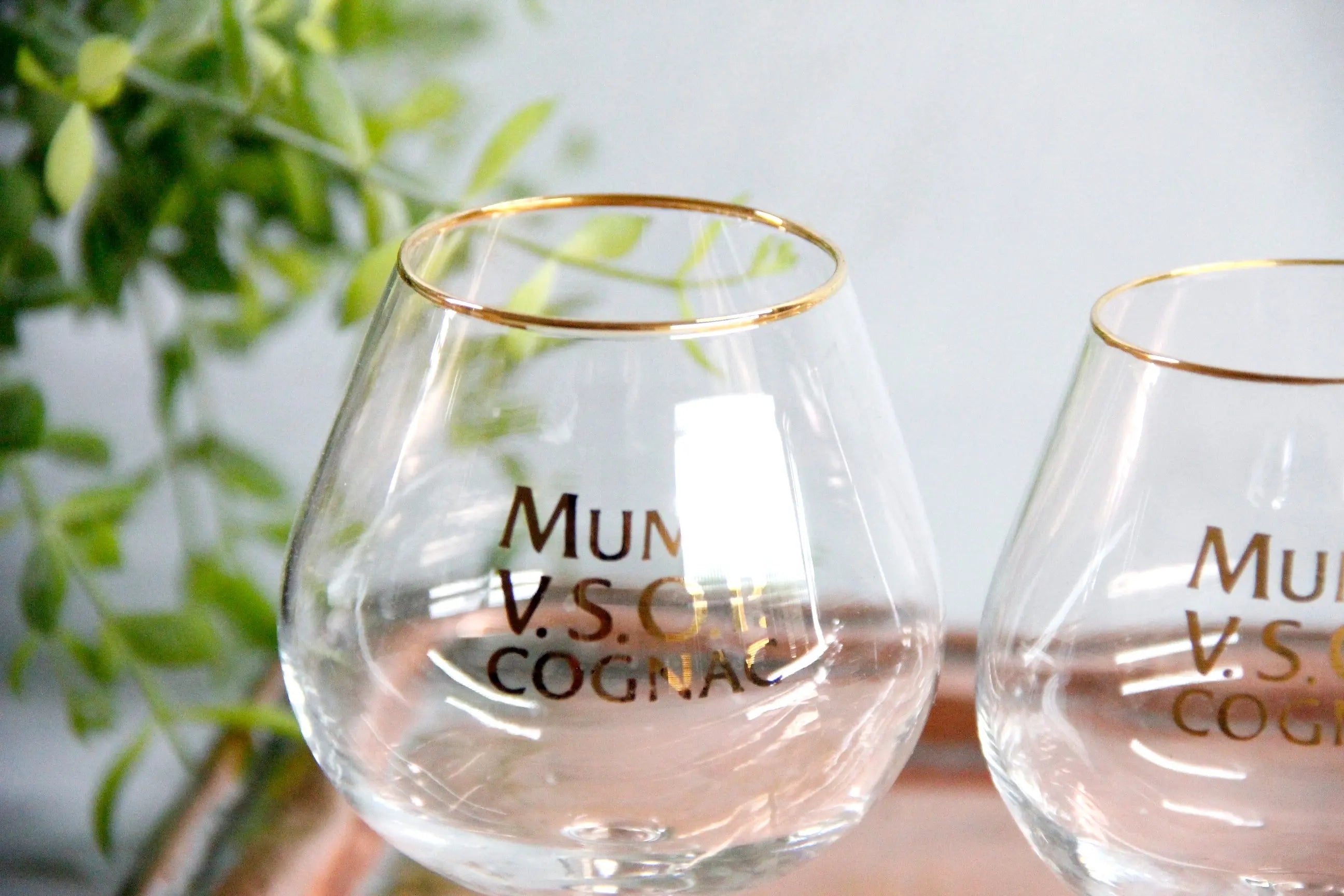 Vintage French Glassware Set | 2 Mumm Cognac Snifters  Debra Hall Lifestyle