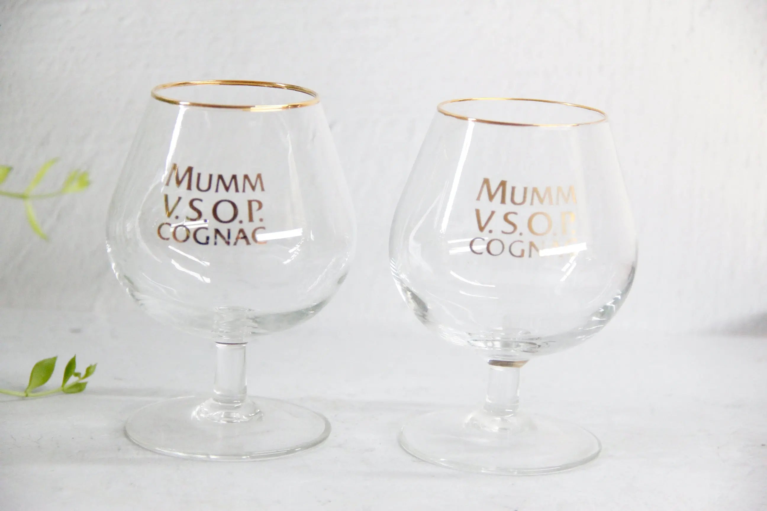 Vintage French Glassware Set | 2 Mumm Cognac Snifters  Debra Hall Lifestyle