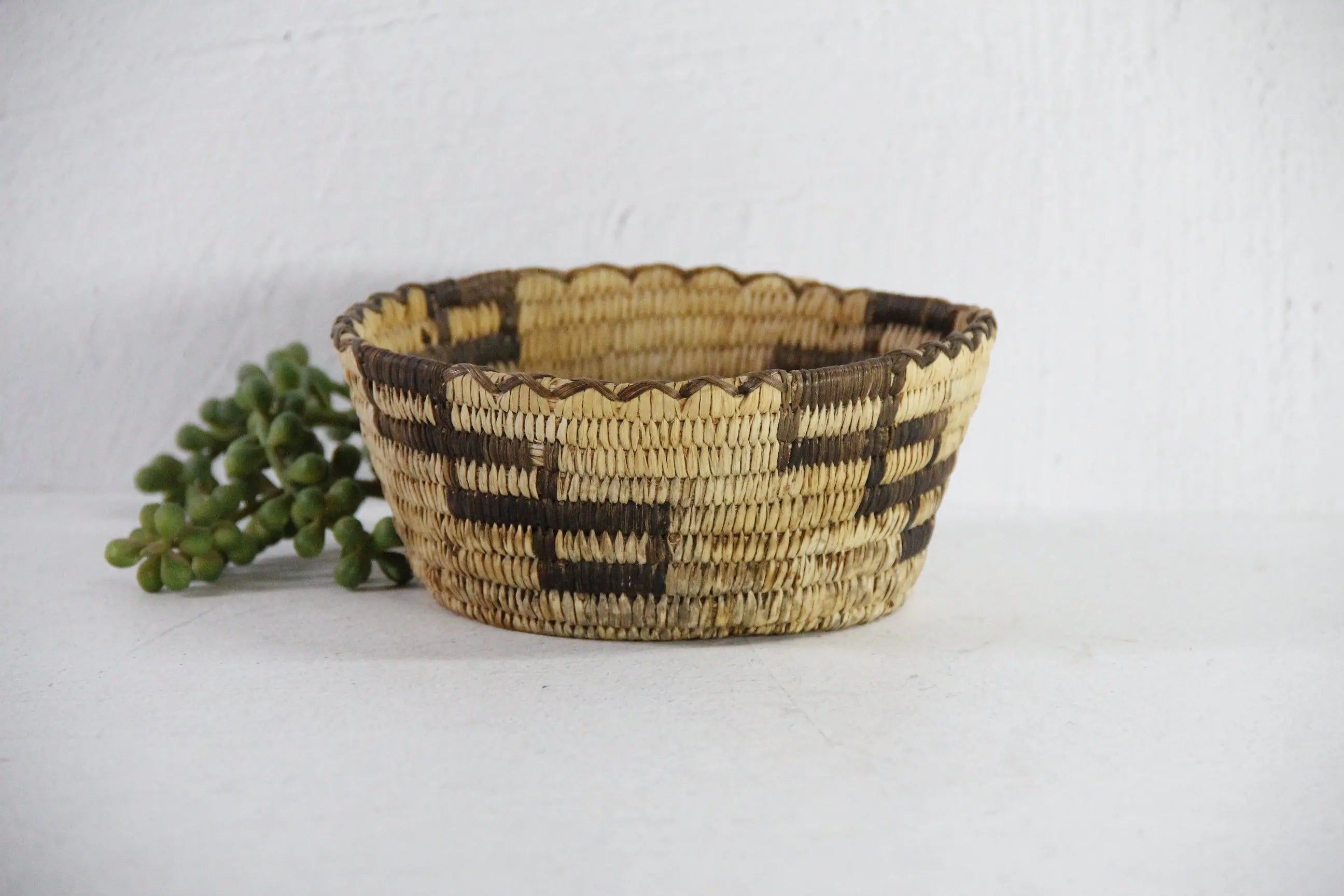 Vintage Papago Basket | Native American Indian  Debra Hall Lifestyle