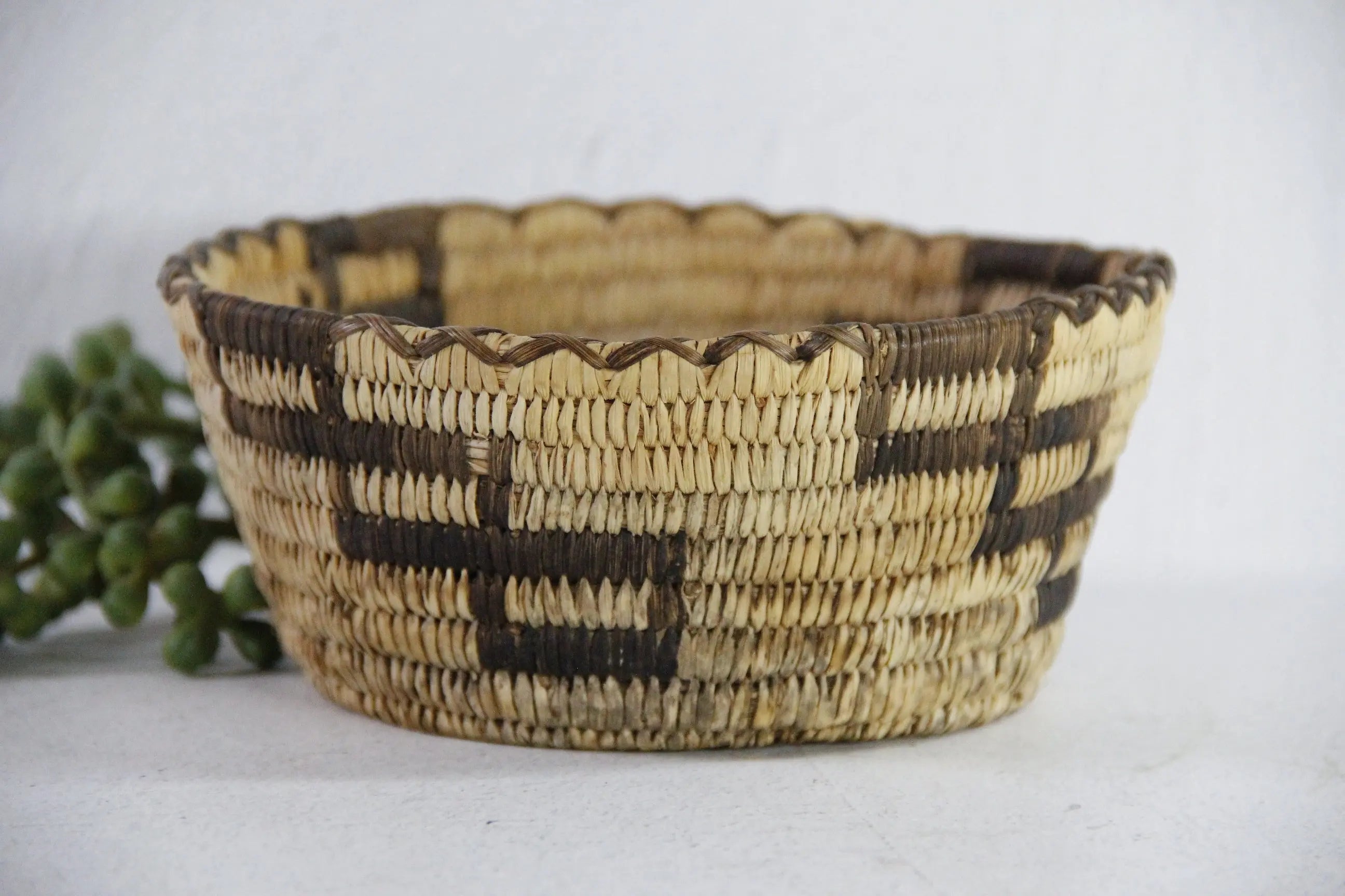 Vintage Papago Basket | Native American Indian  Debra Hall Lifestyle