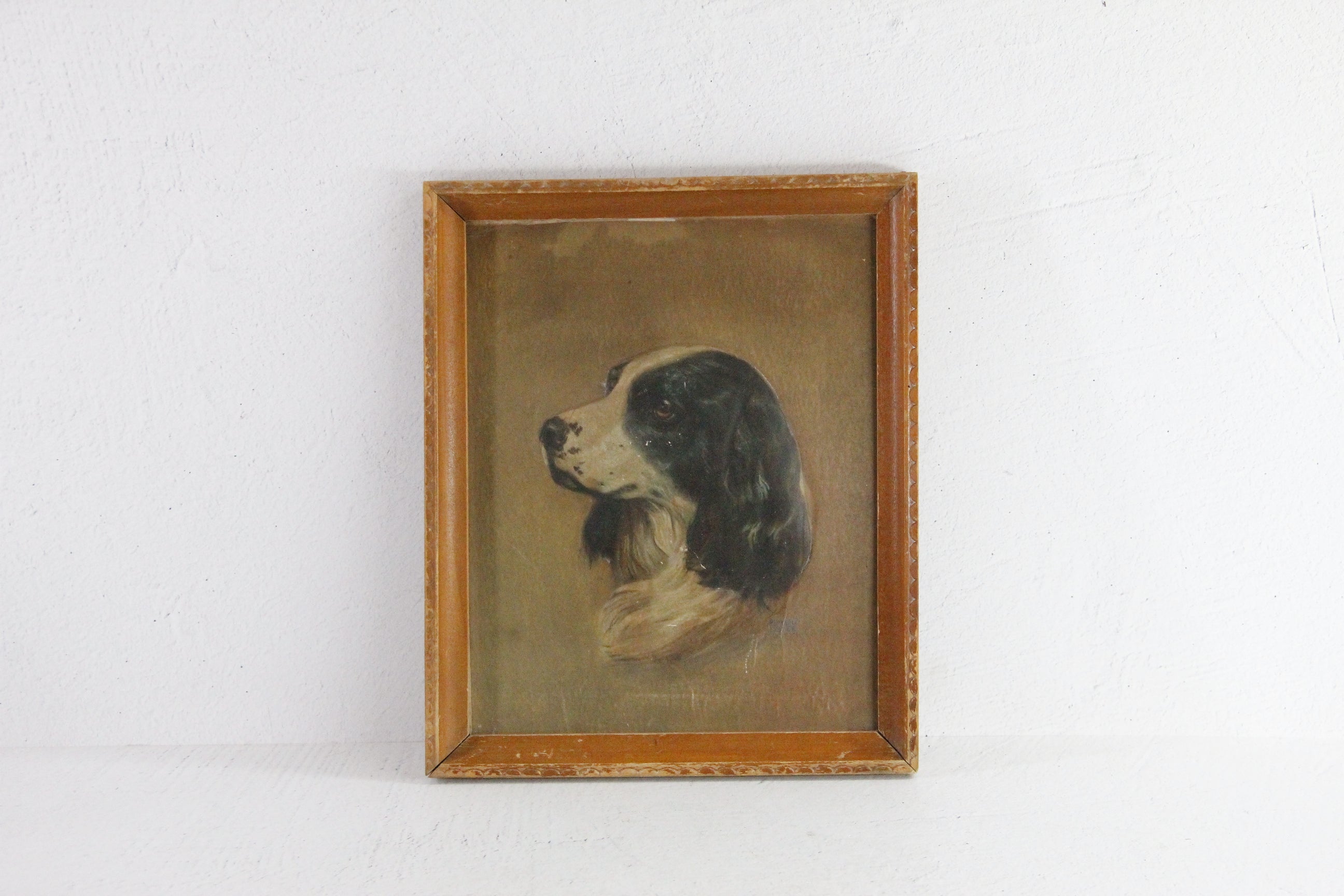 Vintage Spaniel Dog Litho 3 D Relief Raised Artwork  Debra Hall Lifestyle