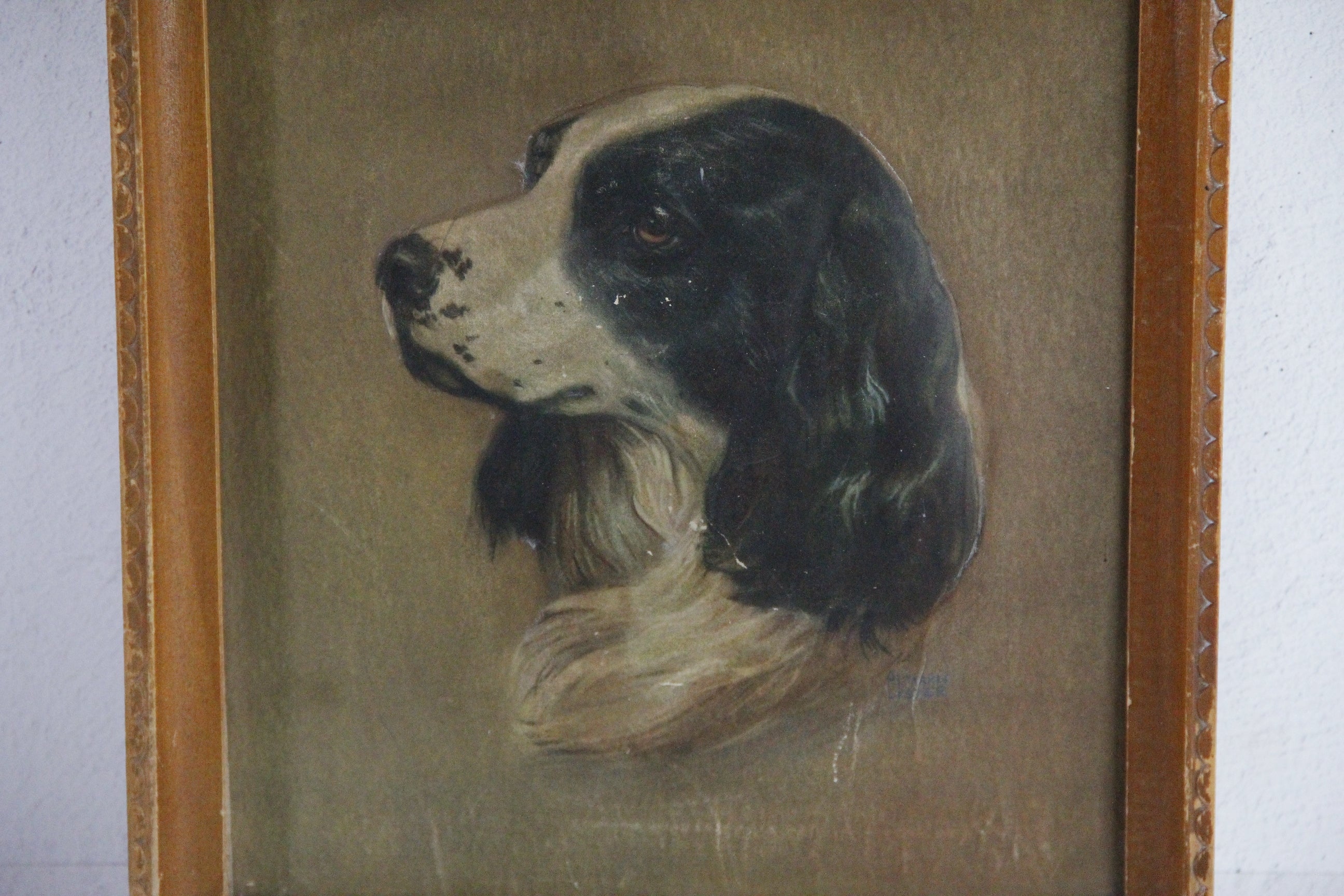 Vintage Spaniel Dog Litho 3 D Relief Raised Artwork  Debra Hall Lifestyle