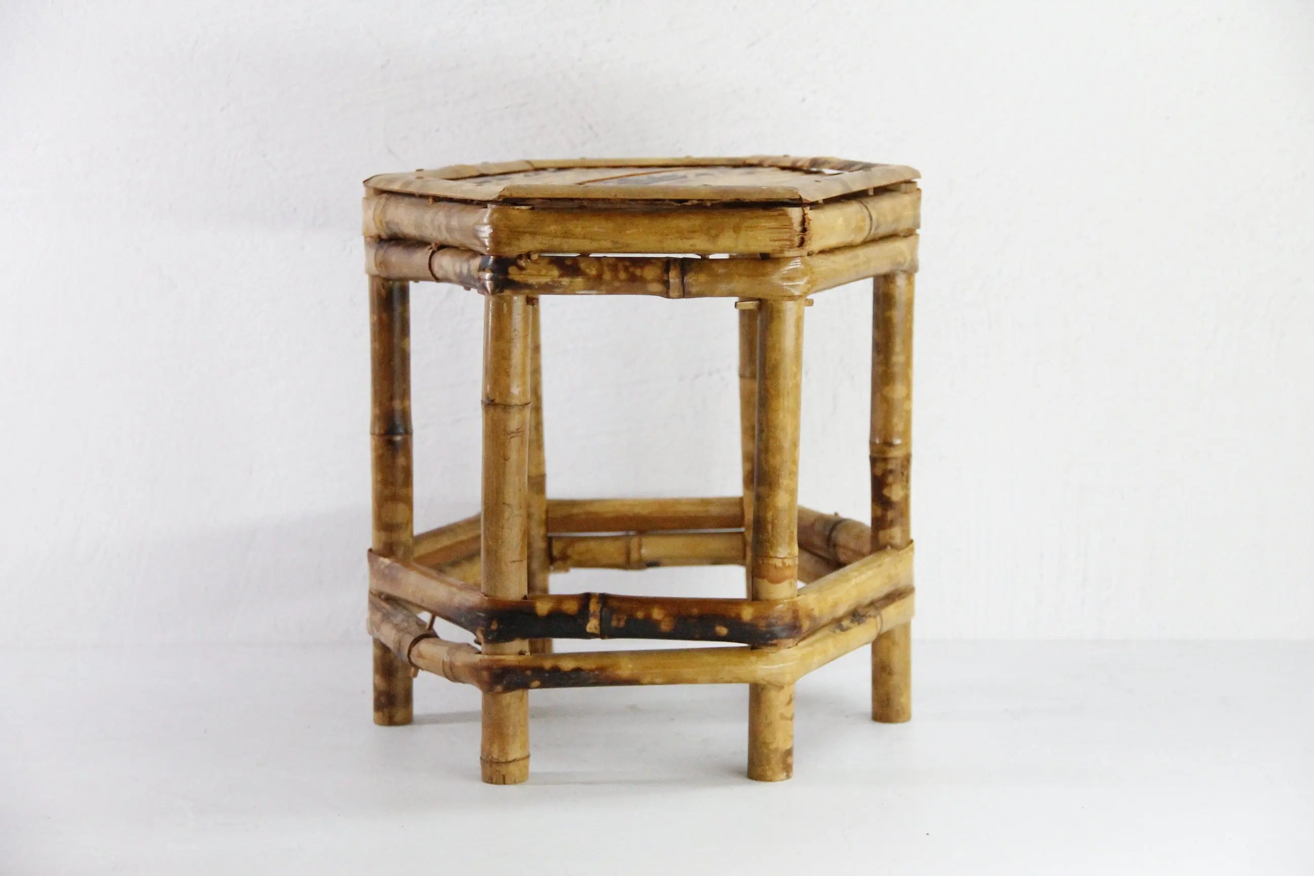 Vintage Tortoise Bamboo Riser | Mini Table Plant Stand  Debra Hall Lifestyle