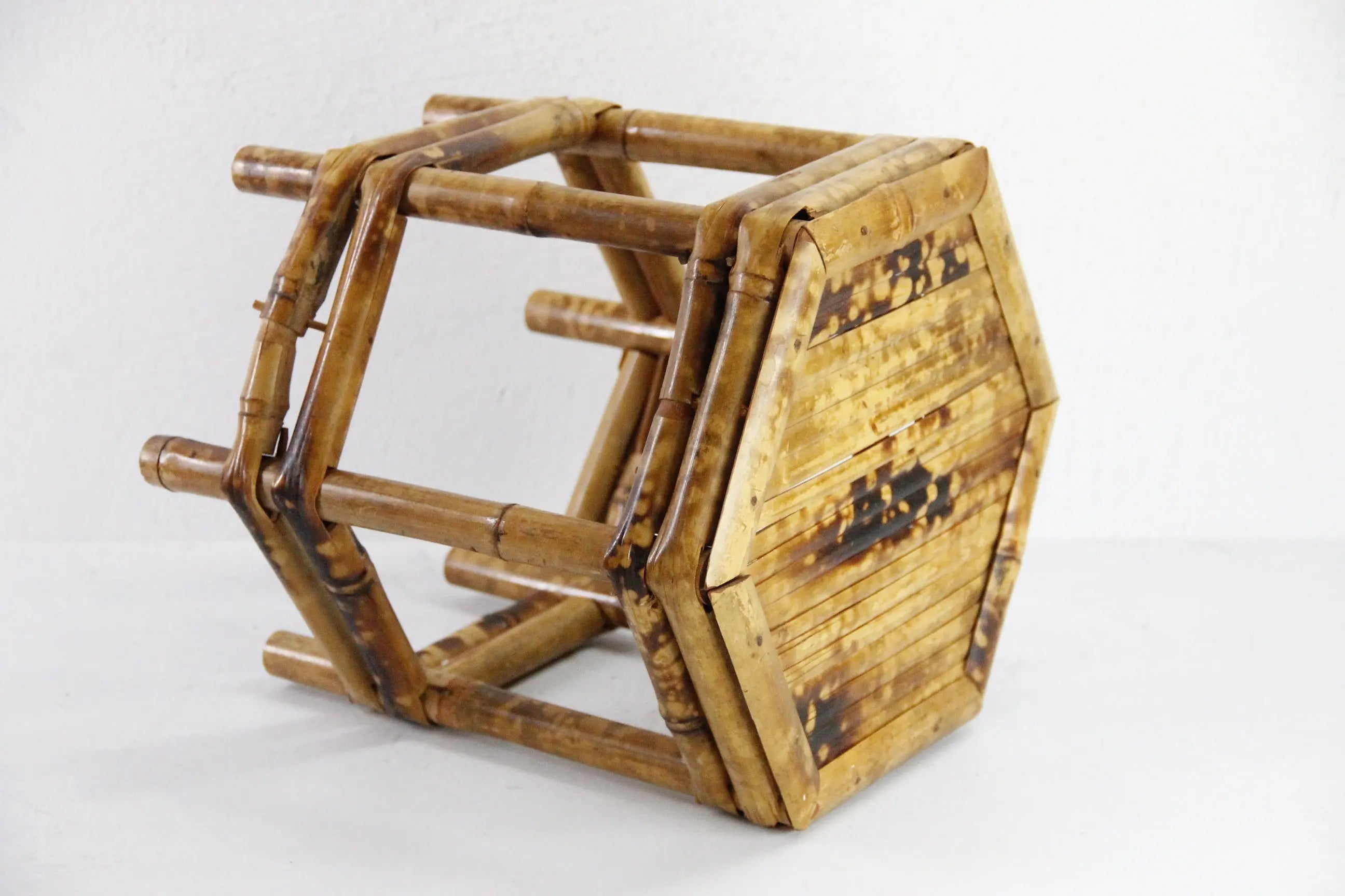 Vintage Tortoise Bamboo Riser | Mini Table Plant Stand  Debra Hall Lifestyle