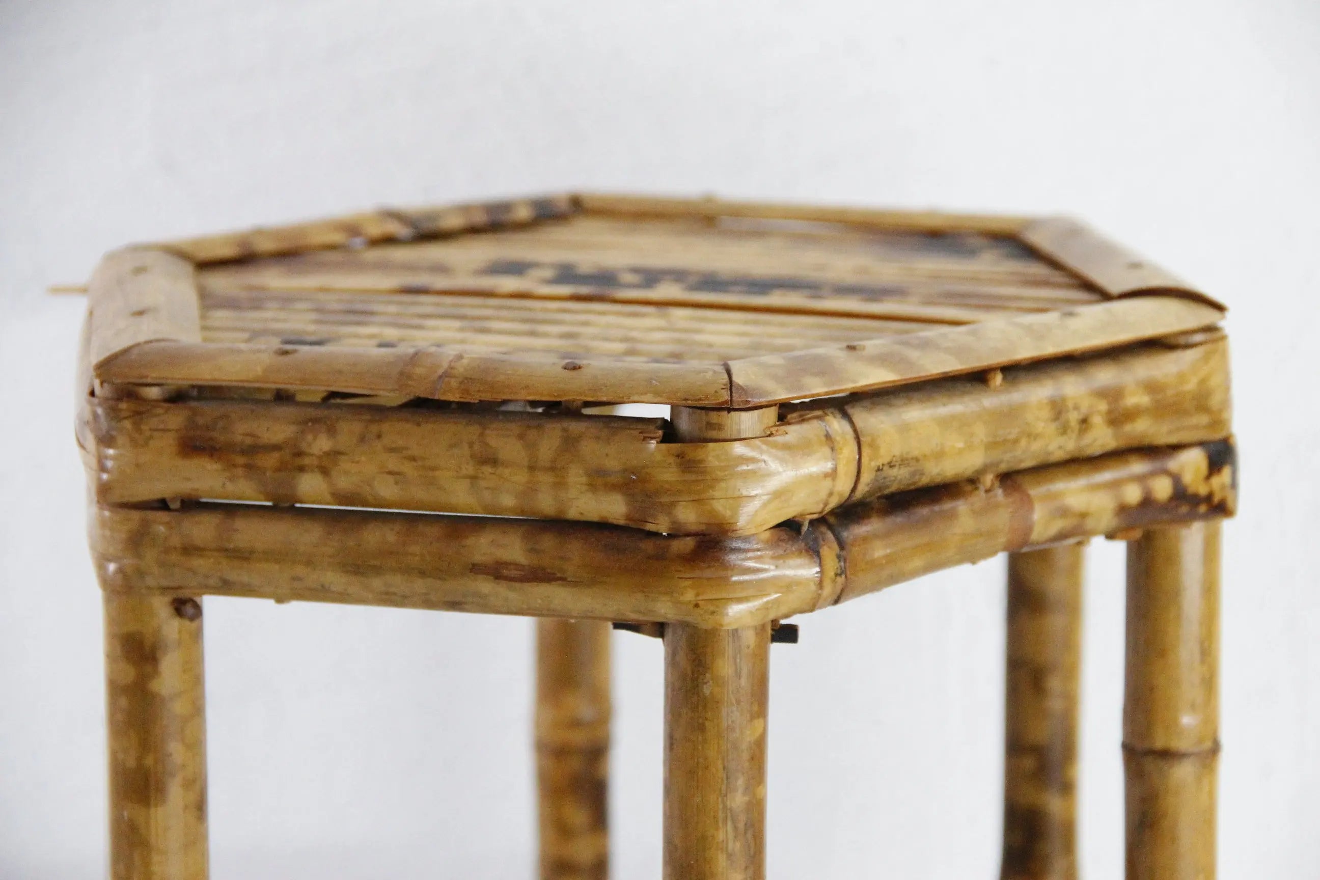 Vintage Tortoise Bamboo Riser | Mini Table Plant Stand  Debra Hall Lifestyle
