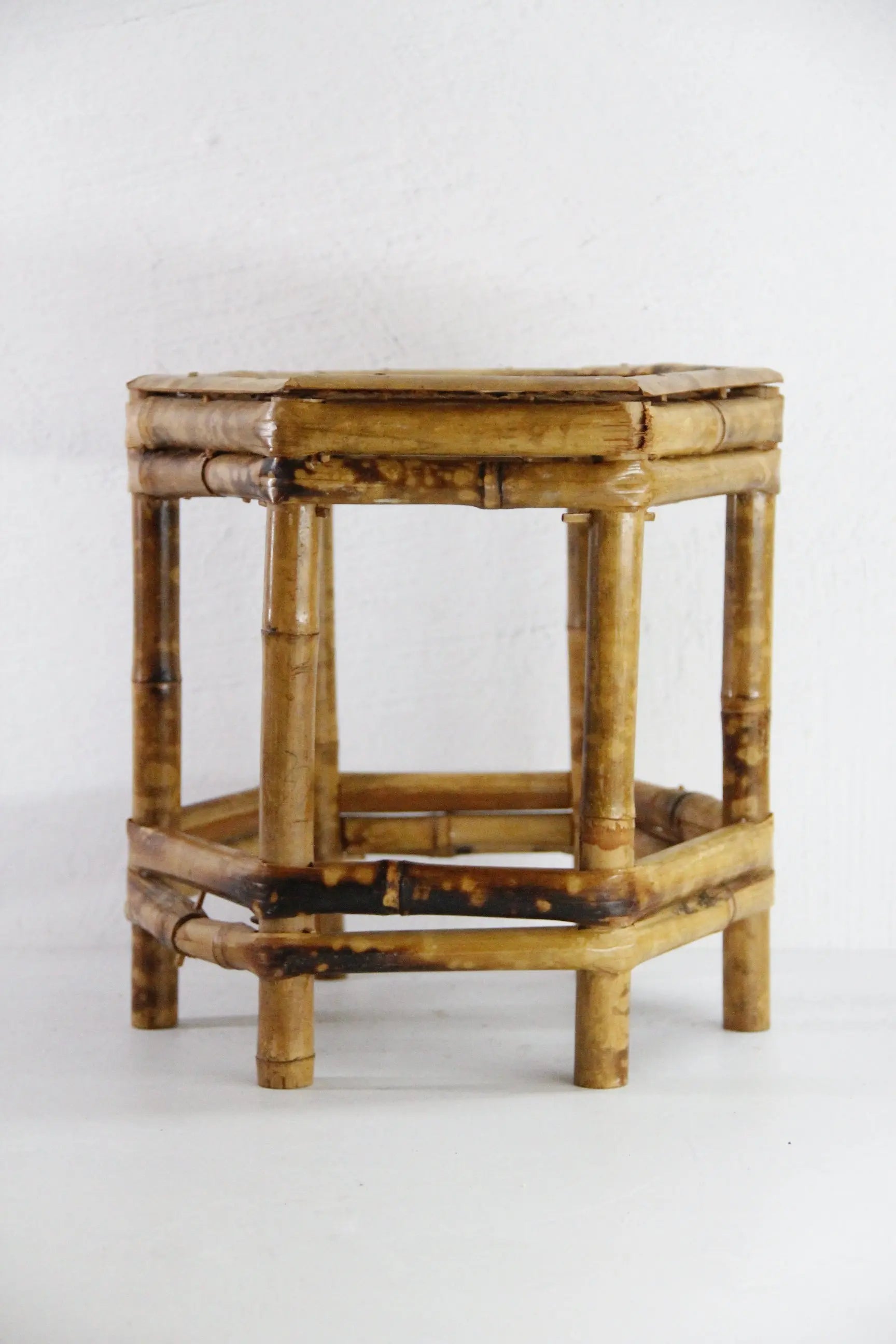 Vintage Tortoise Bamboo Riser | Mini Table Plant Stand  Debra Hall Lifestyle