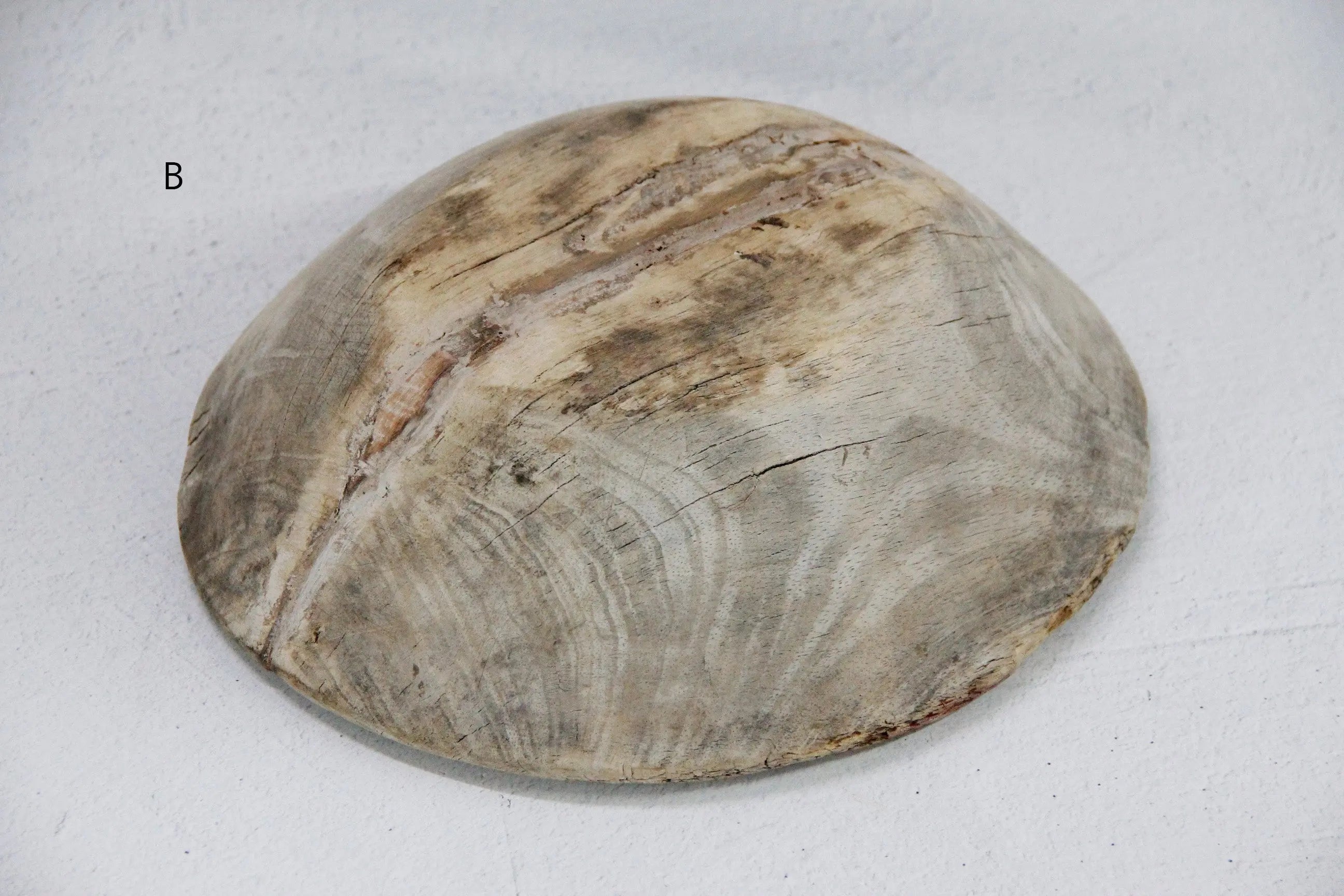 Vintage Wood Dough Bowl | Medium  Debra Hall Lifestyle