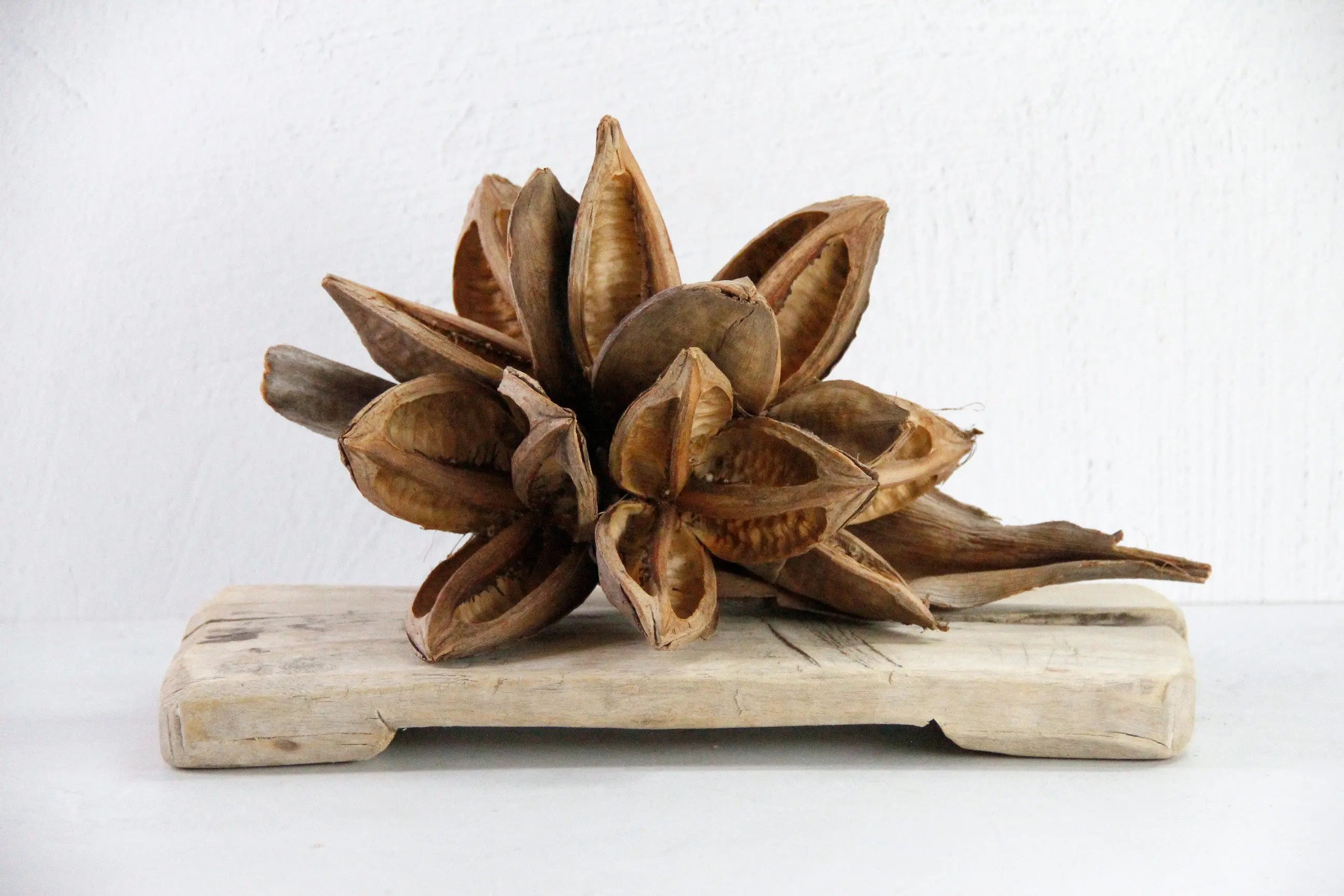 Vintage Wood Riser | Natural Bleached Teak Bajot Board  Debra Hall Lifestyle