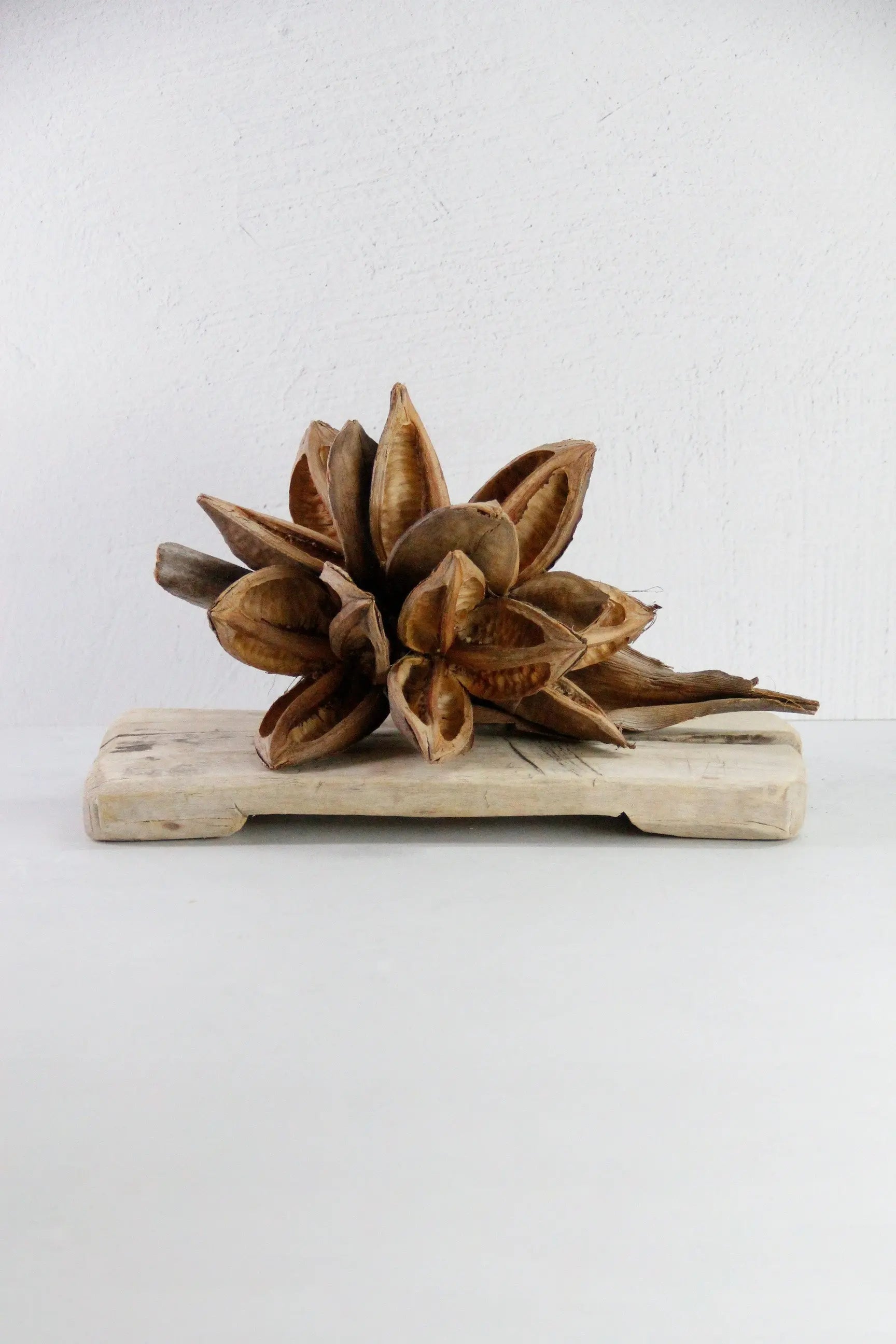 Vintage Wood Riser | Natural Bleached Teak Bajot Board  Debra Hall Lifestyle