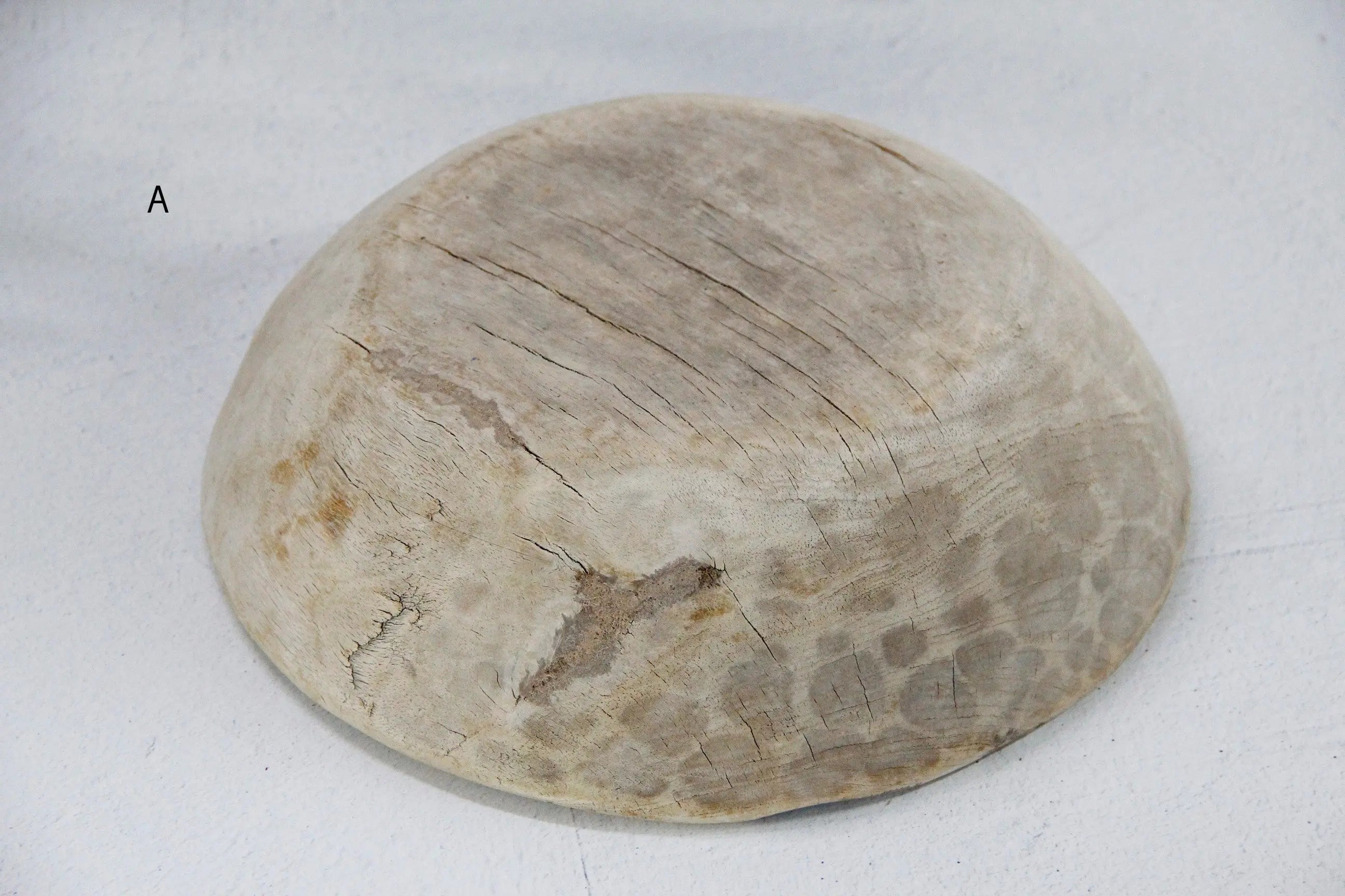Vintage Wooden Dough Bowl | Medium Assorted  Debra Hall Lifestyle
