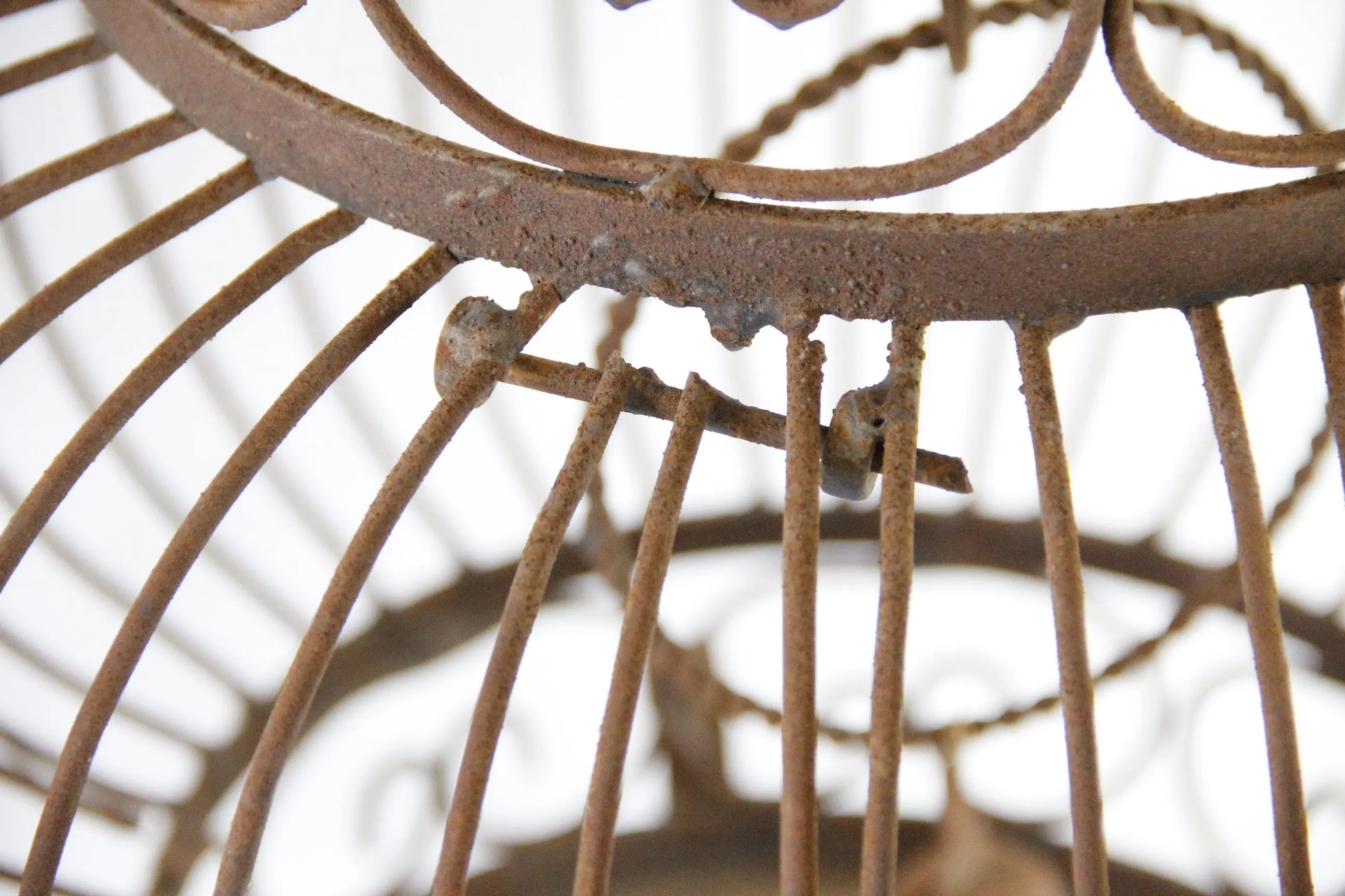 Vintage Wrought Iron bird Cage | Standing or Hanging  Debra Hall Lifestyle