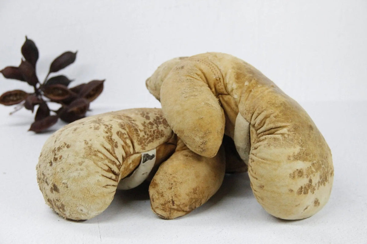 Antique Boxing Gloves | Horse Hair and Leather Pair - Debra Hall Lifestyle