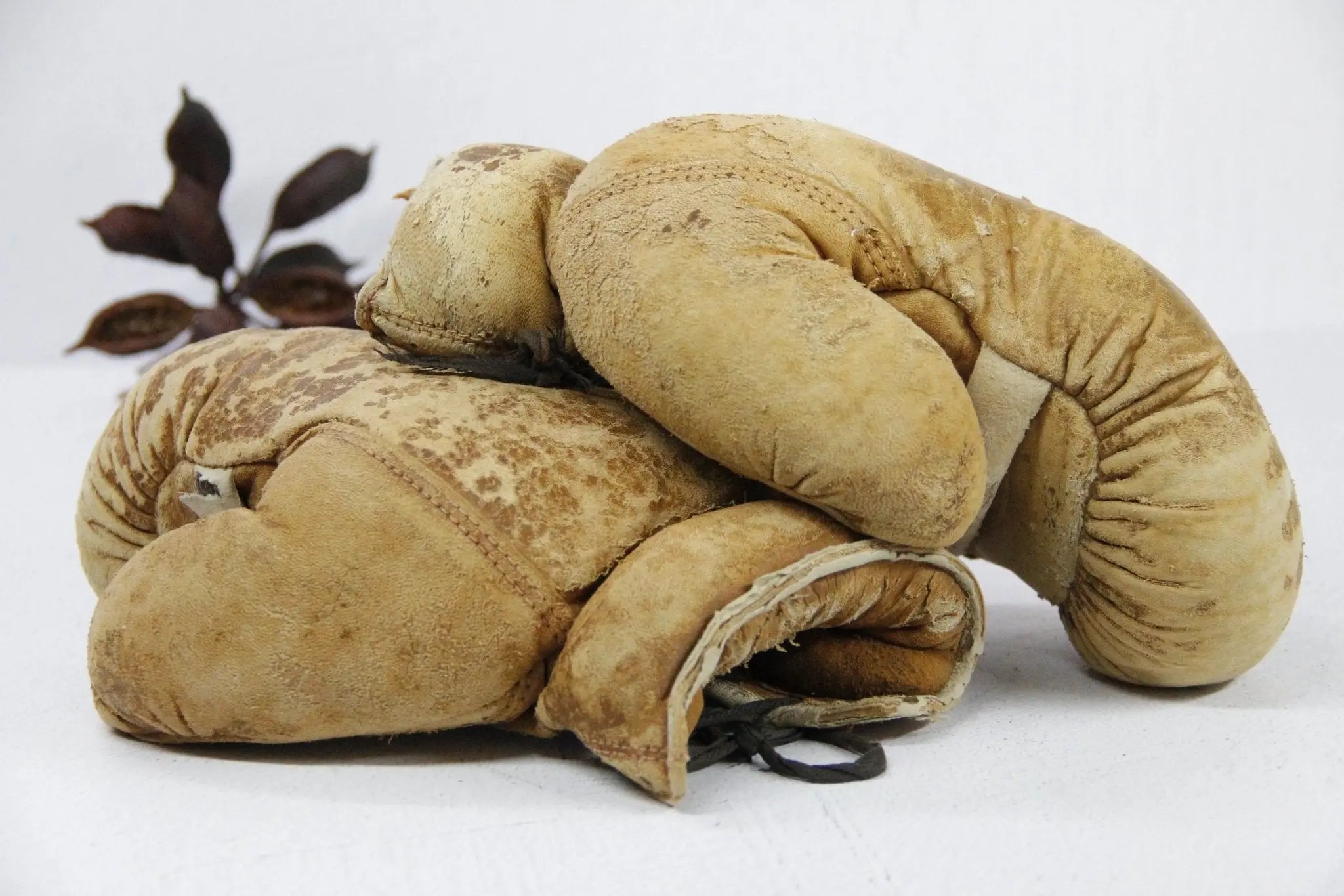 Antique Boxing Gloves | Horse Hair and Leather Pair - Debra Hall Lifestyle