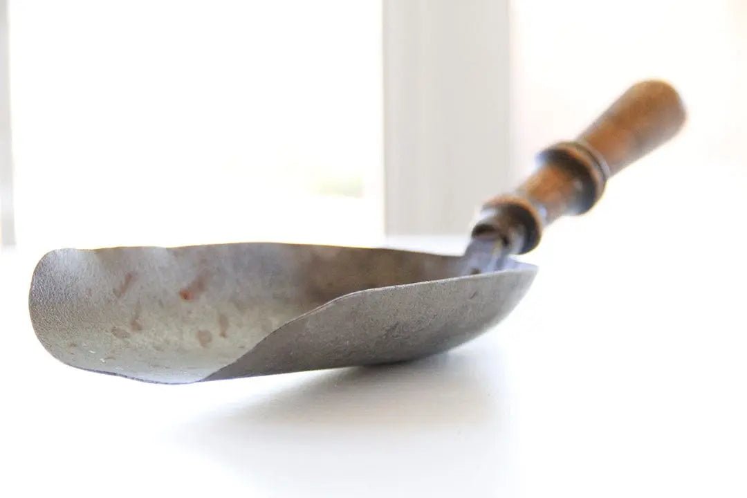 Antique Grain Scoop-French Market/Boulangerie Measure - Debra Hall Lifestyle