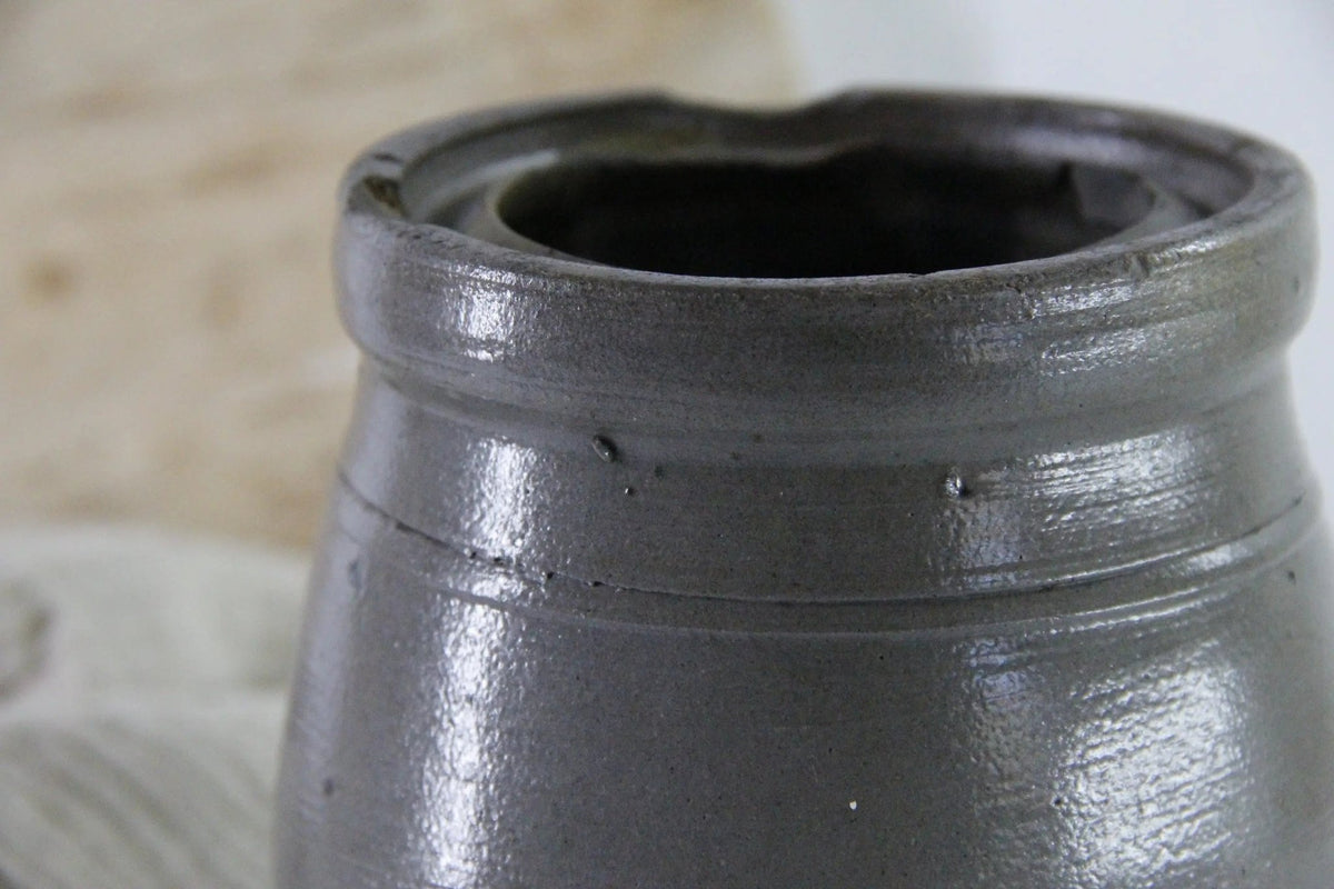 Antique Stoneware Crock Canning Jar | 19th C. Salt Glaze - Debra Hall Lifestyle