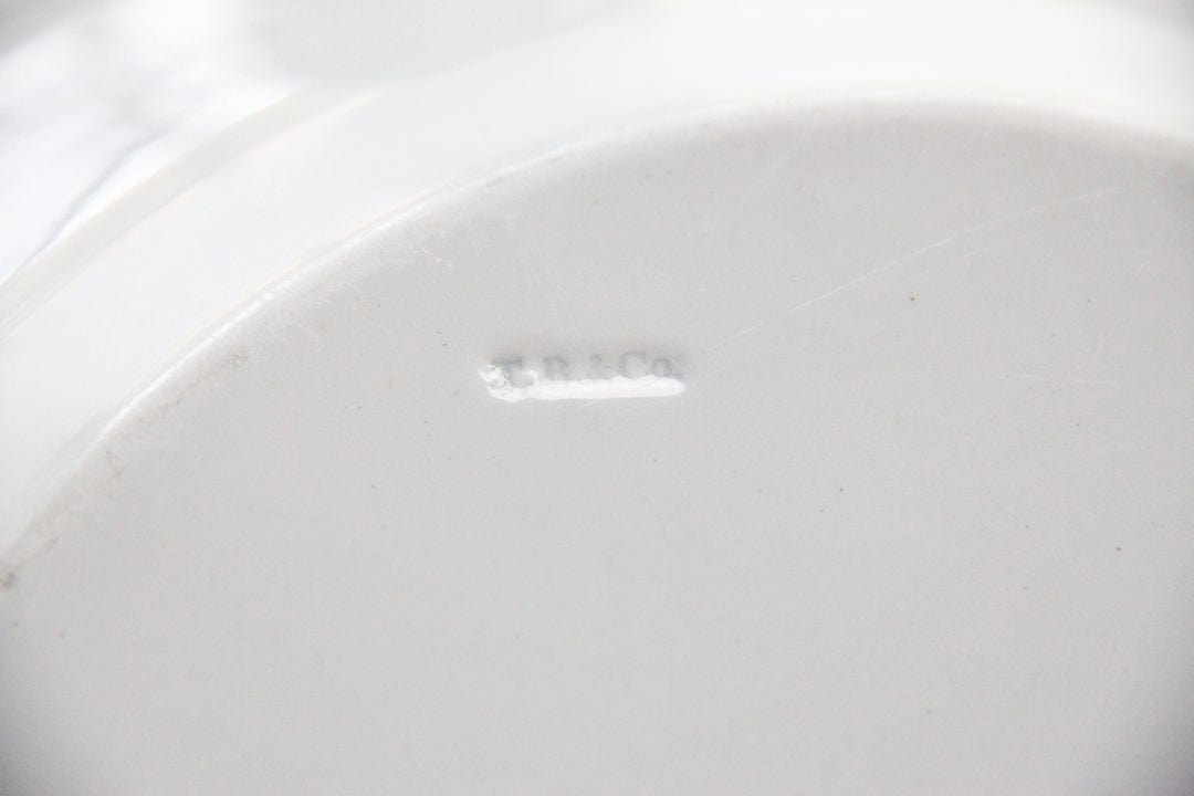 Antique White Ironstone Platter | 19th C. England Serveware Tableware