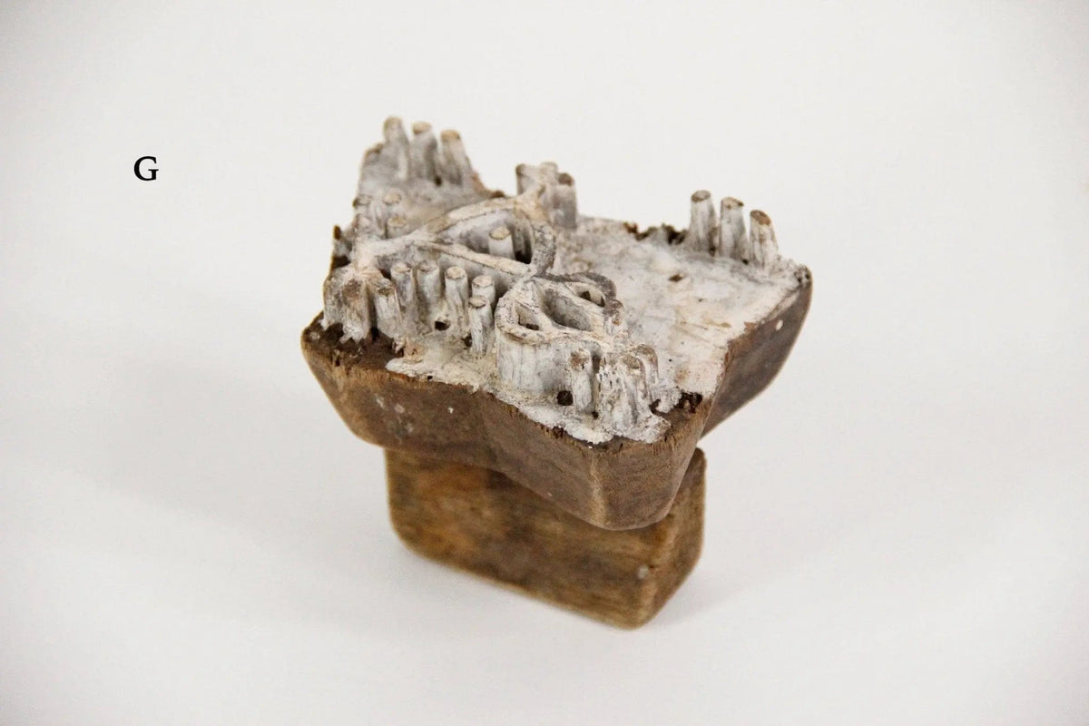 Batik Stamps | Antique Assorted Textile Wood Block - Debra Hall Lifestyle