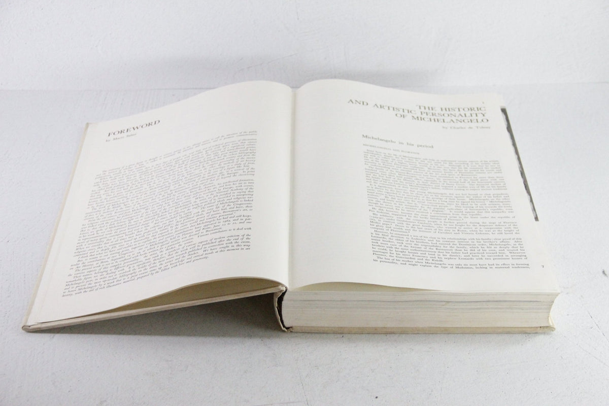 Michelangelo Book | The Complete Works of Michelangelo 1960s - Debra Hall Lifestyle