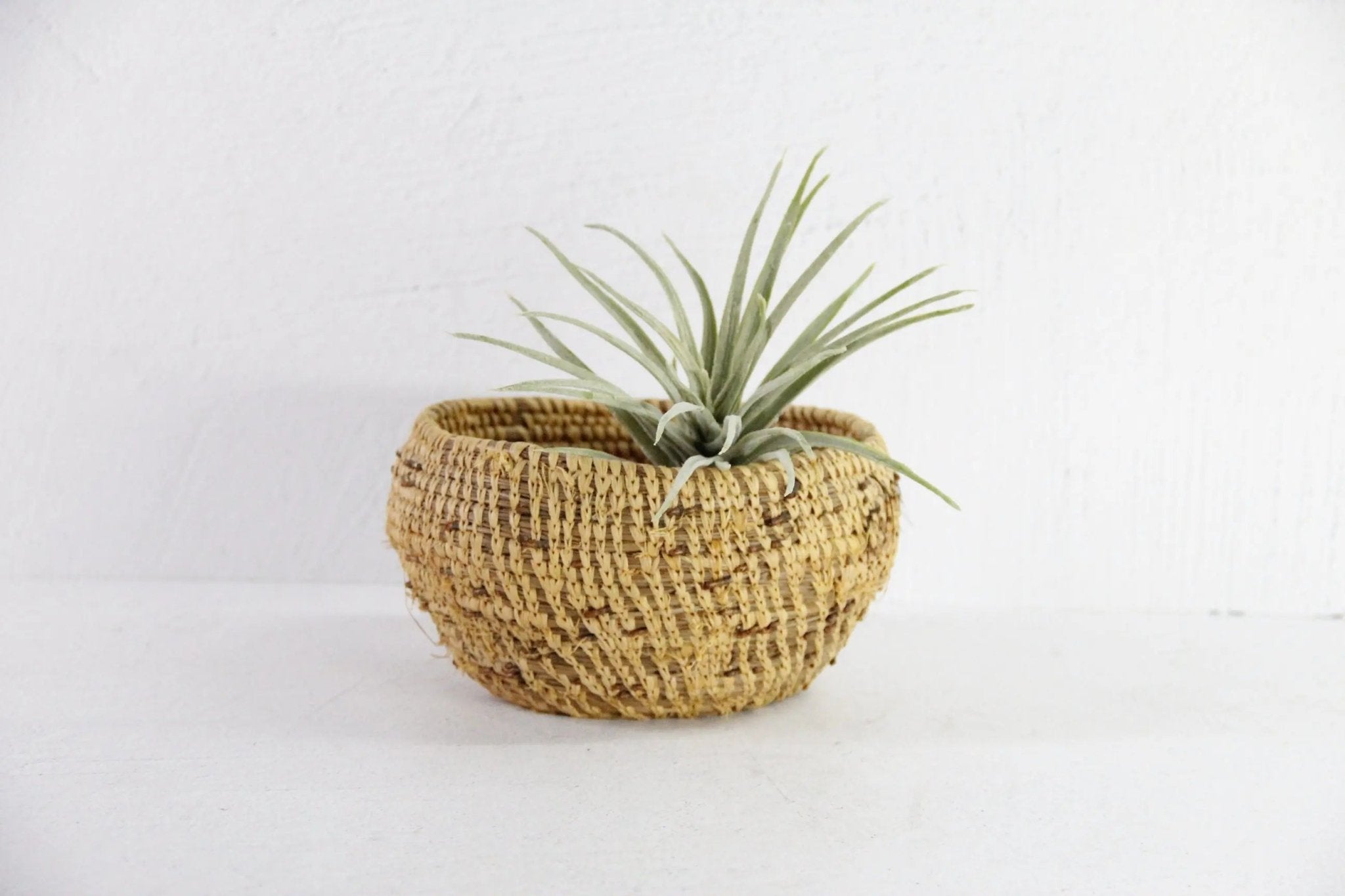 Native American Pine Needle Basket | Small Early 1900s - Debra Hall Lifestyle