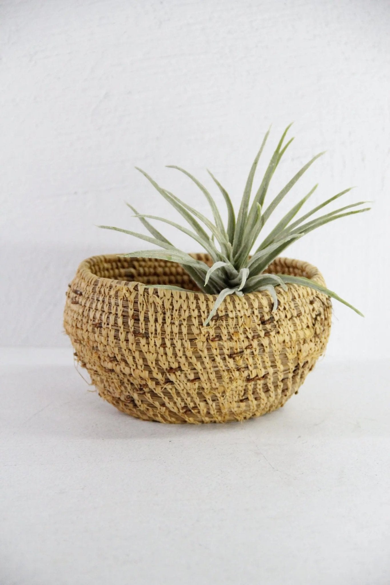Native American Pine Needle Basket | Small Early 1900s - Debra Hall Lifestyle