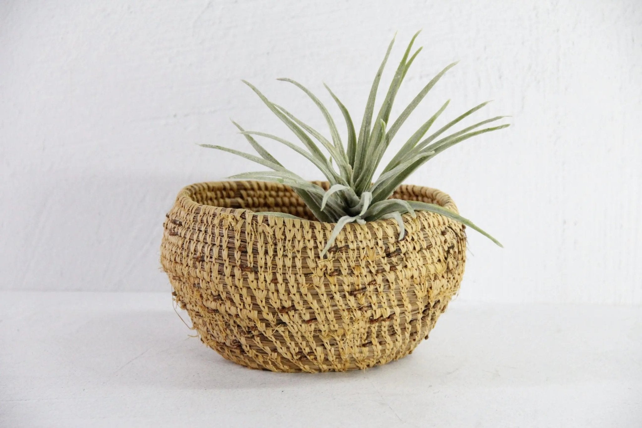 Native American Pine Needle Basket | Small Early 1900s - Debra Hall Lifestyle