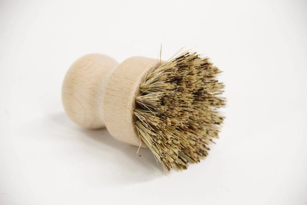 Pot Scrubber Brush | Beachwood - Debra Hall Lifestyle