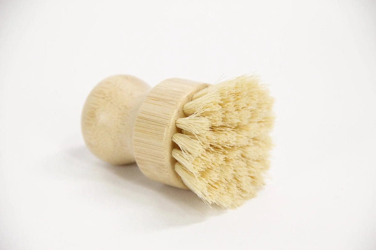 Pot Scrubber Brush | Beachwood - Debra Hall Lifestyle