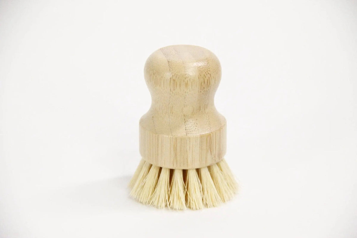 Pot Scrubber Brush | Beachwood - Debra Hall Lifestyle
