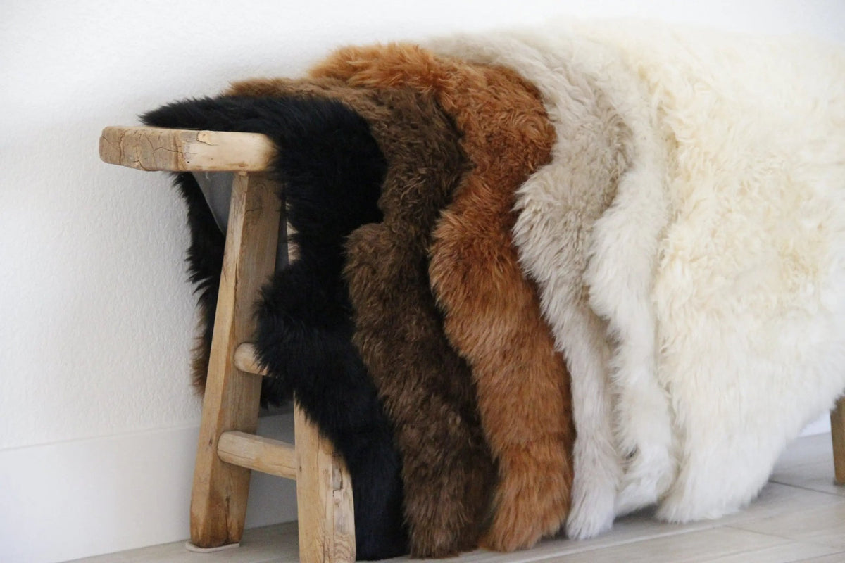Sheepskin Pelt | Authentic Luxury Throw/Rug-Assorted - Debra Hall Lifestyle