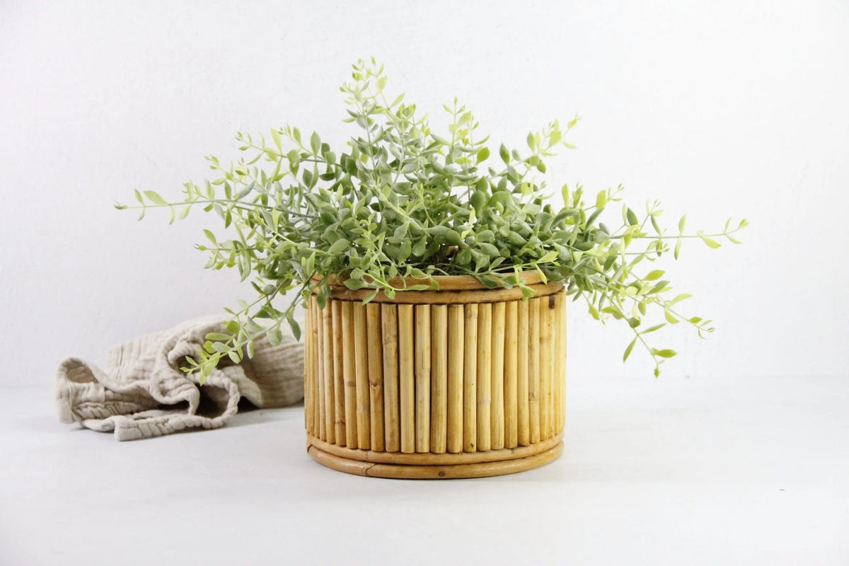 Vintage Bamboo Planter | Midcentury Pencil Reed 8" - Debra Hall Lifestyle