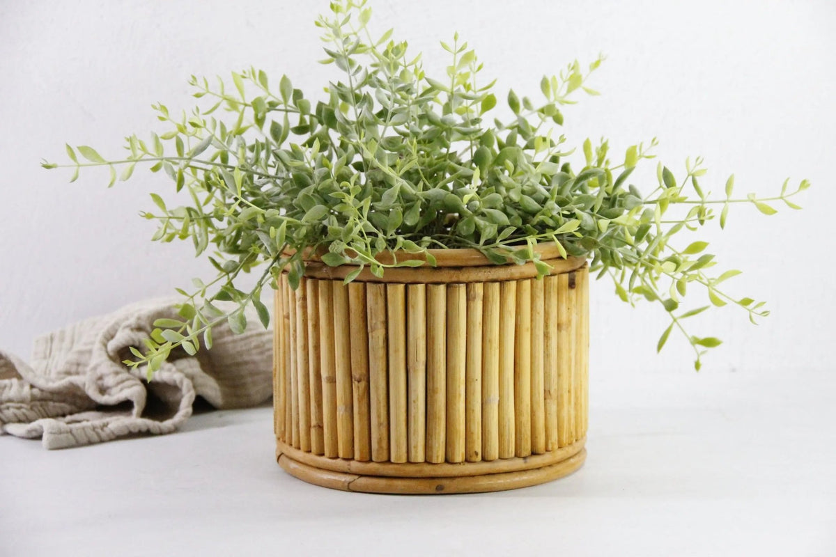Vintage Bamboo Planter | Midcentury Pencil Reed 8" - Debra Hall Lifestyle
