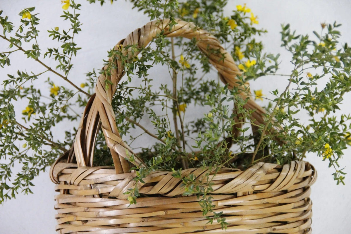 Vintage Basket with Handle | 1970s Large Split Bamboo 20" - Debra Hall Lifestyle
