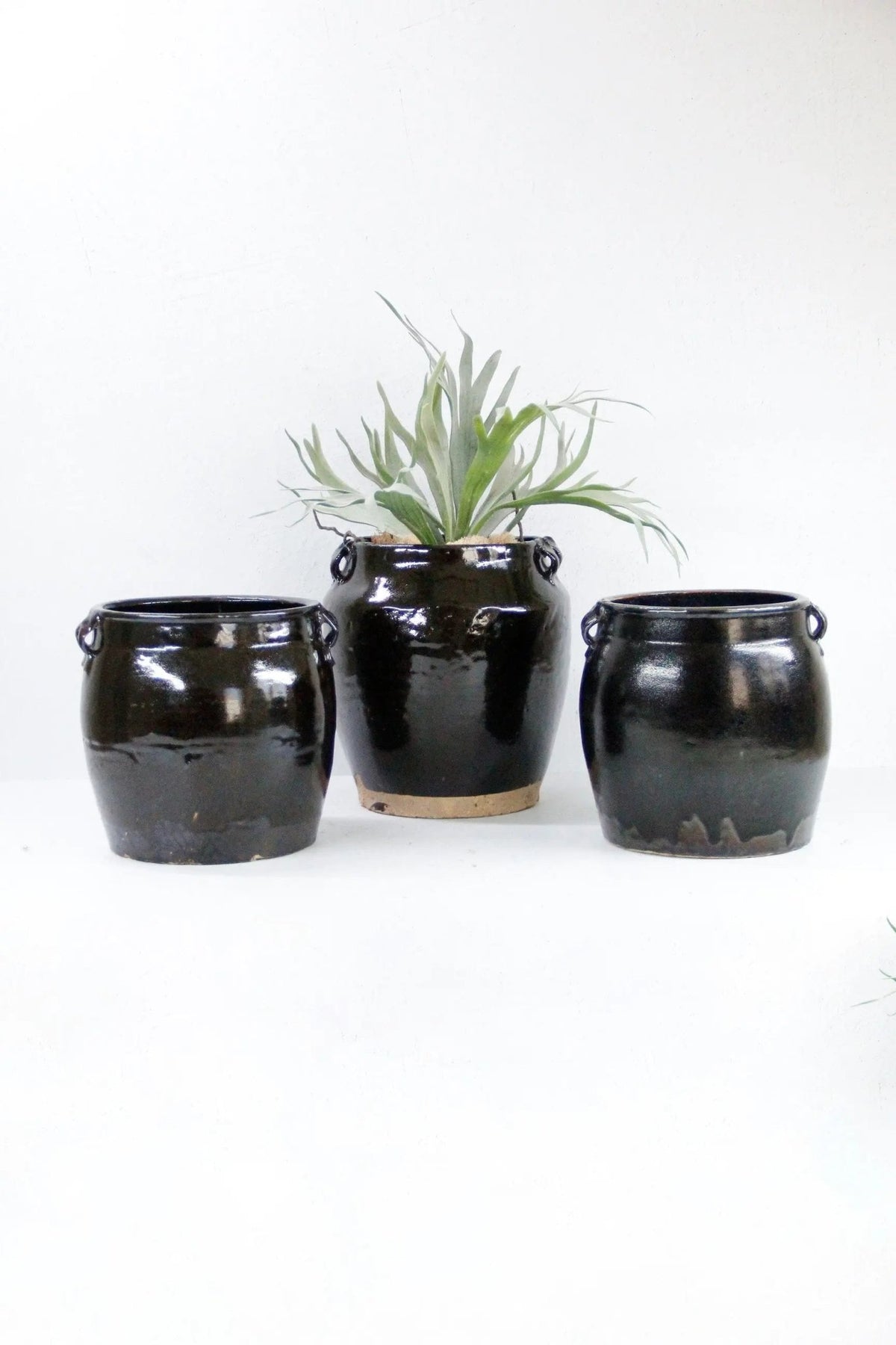 Vintage Black Pottery | Shanxi Glazed Oil Vessel - Debra Hall Lifestyle