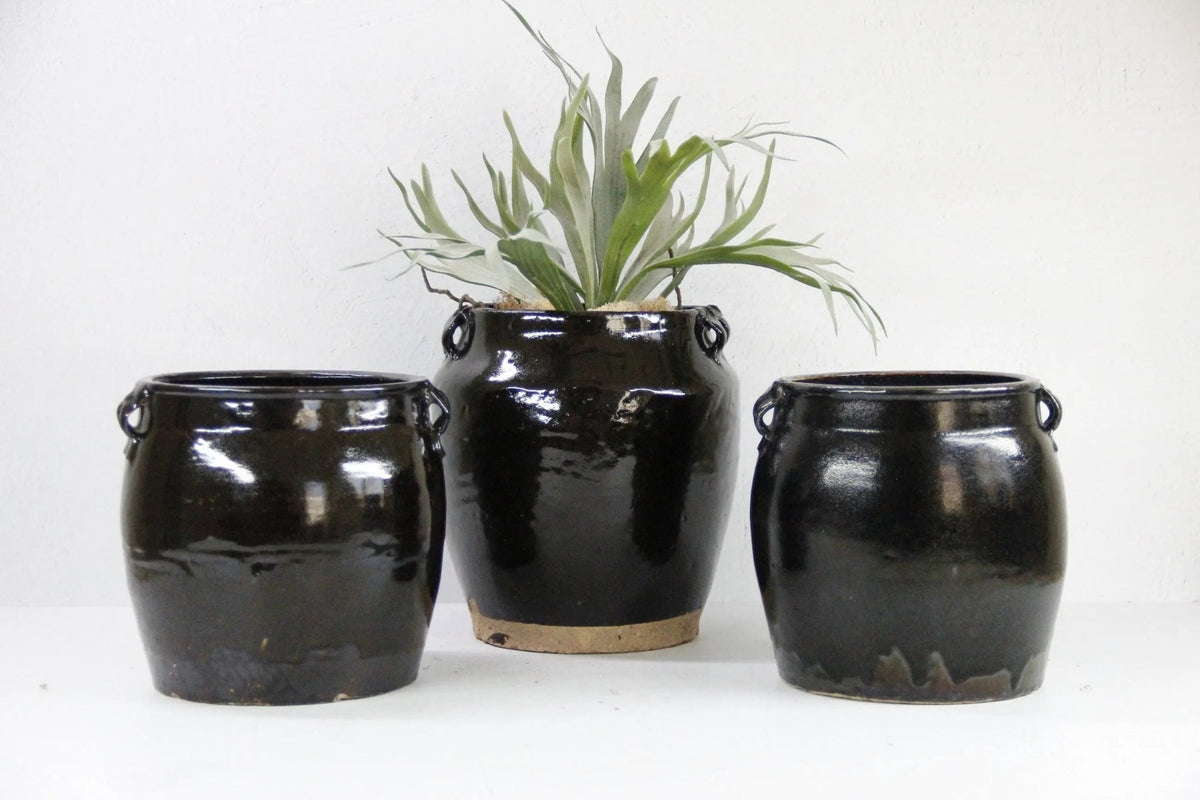 Vintage Black Pottery | Shanxi Glazed Oil Vessel - Debra Hall Lifestyle