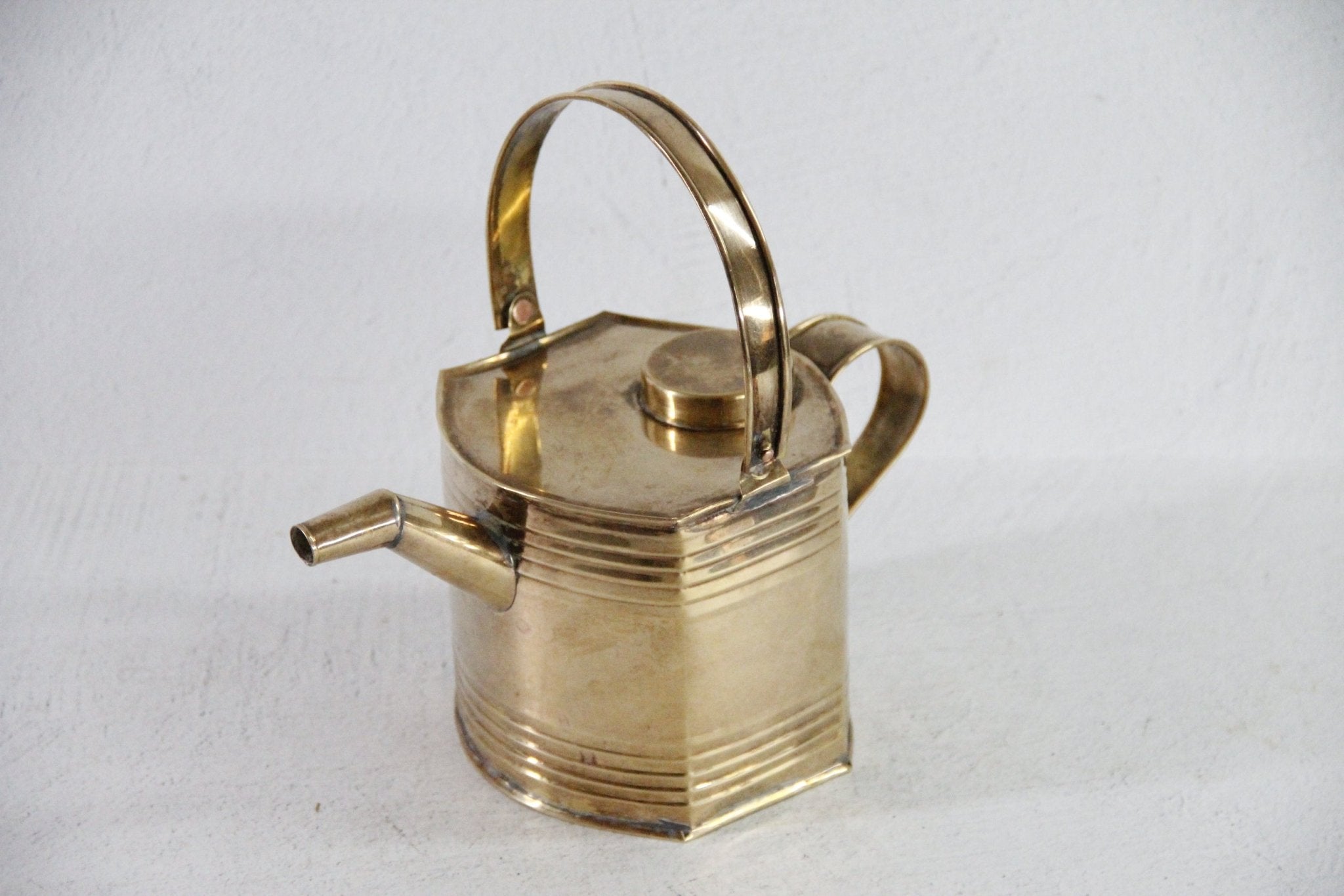 Vintage Brass Watering Can | Decorative for Small Plant - Debra Hall Lifestyle