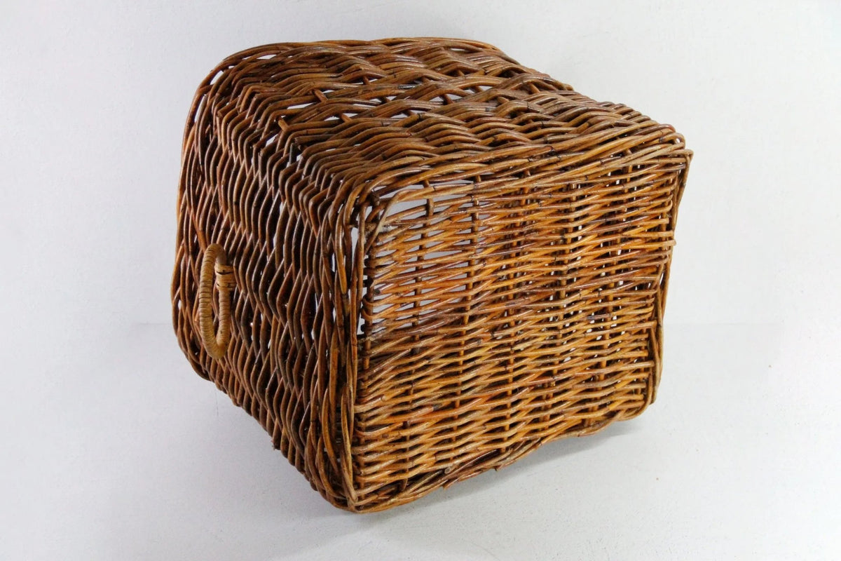 Vintage Wicker Basket with Handles | Floor Storage/Planter - Debra Hall Lifestyle